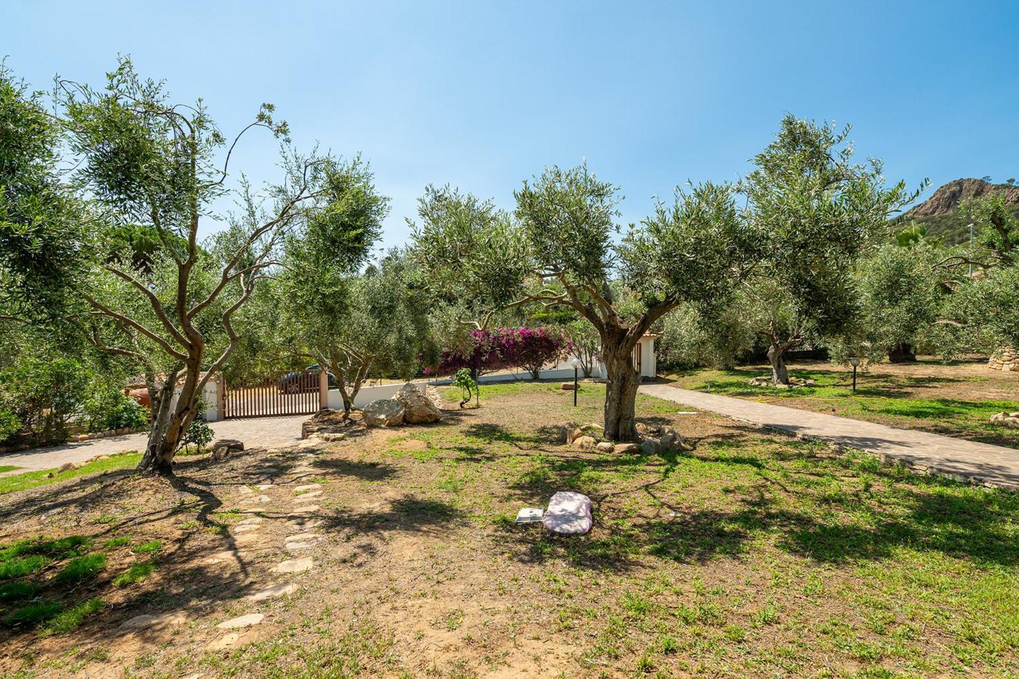 Casa Pilato Hotel Poggio dei Pini ภายนอก รูปภาพ